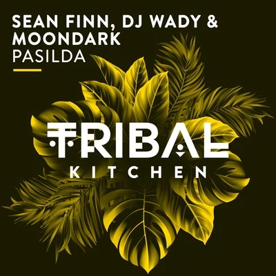 Moondark/Sean Finn/Dj Wady Pasilda (Radio Edit)