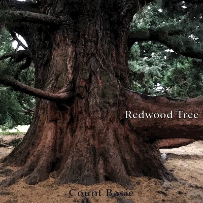 Count Basie Redwood Tree