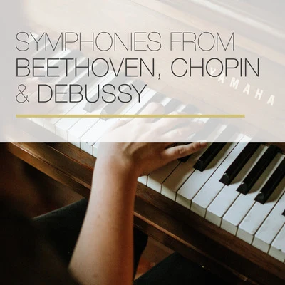 Jorg Demus/Friedrich Gulda Symphonies from Beethoven, Chopin & Debussy