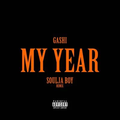 GASHI My Year REMIX