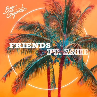 Ashe/Big Gigantic Friends