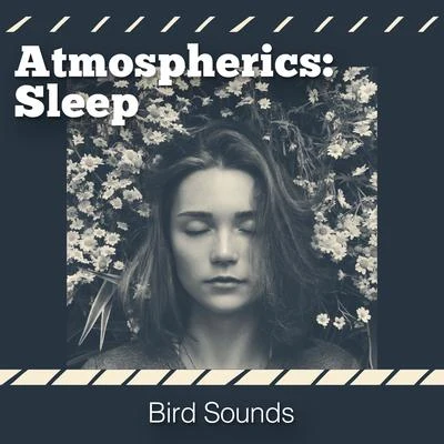 Bird Sounds Atmospherics: Sleep