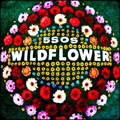 5 Seconds of Summer Wildflower