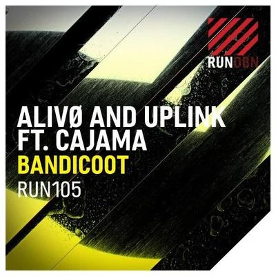 Alivo/Uplink Bandicoot