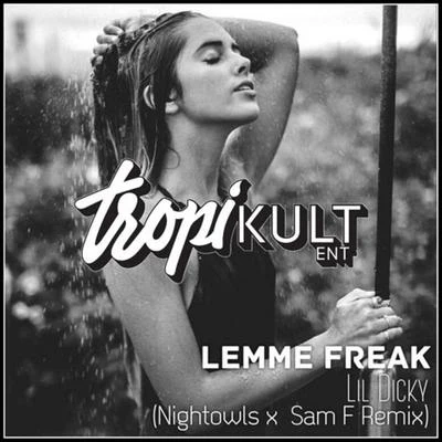 NIGHTOWLS Lemme Freak (NIGHTOWLS x SAM F Remix)