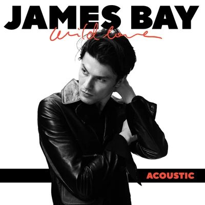 James Bay Wild Love (Acoustic)