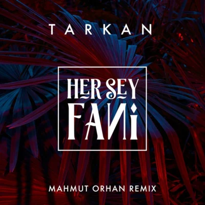 Mahmut Orhan Her Şey Fani (Mahmut Orhan Remix)