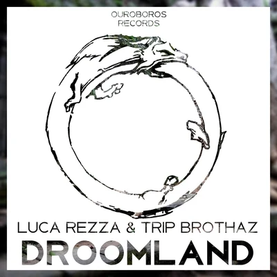 Luca Rezza Droomland