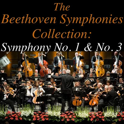 Sinfonia Varsovia The Beethovan Symphonies Collection: Symphonies No. 1 & No. 3