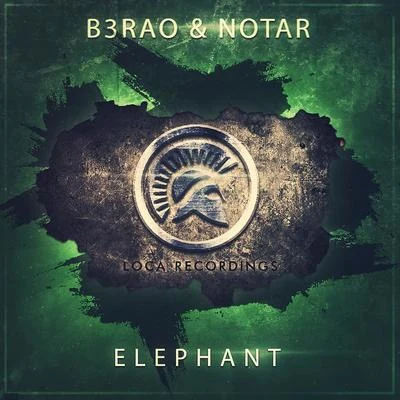 B3RAO Elephant