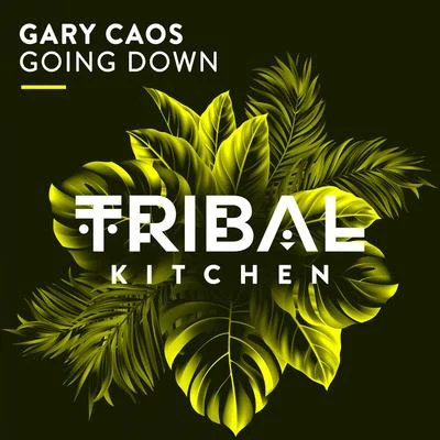 Gary Caos Going Down (Radio Edit)