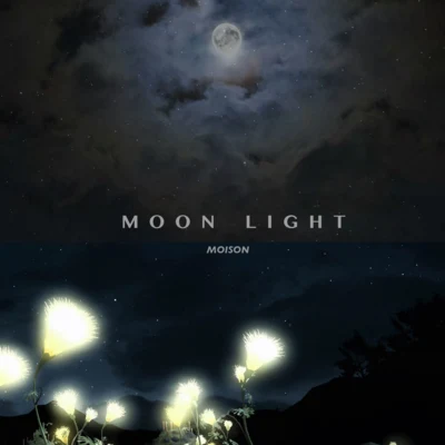 Moison Moon Light月光