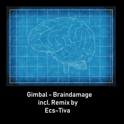 Gimbal Braindamage