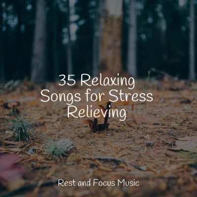 Tranquil Music Sound of Nature/Oasis de Détente et Relaxation/Deep Relaxation Meditation Academy 35 Relaxing Songs for Stress Relieving