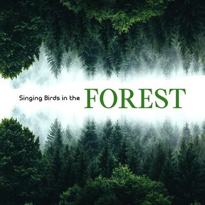 The Calming Sounds of Nature/Spa/Meditation/Nature Sounds Relaxation: Music for Sleep/Massage Therapy Singing Birds in the Forest: 15 Best Relaxing Songs, Calming Music for Hard Day, Nature Sounds with Piano Melodies, Relax Your Mind