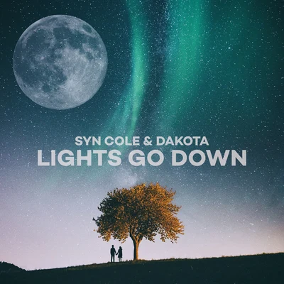 Syn Cole/Dakota Lights Go Down