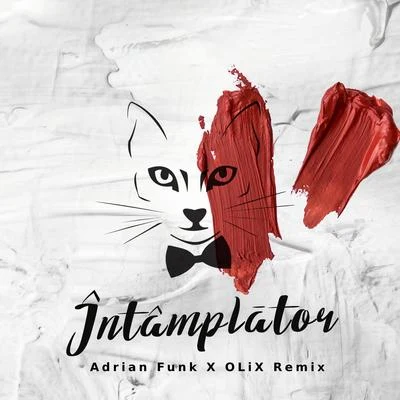 The Motans Intamplator (Adrian Funk X OLiX Remix)