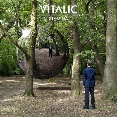 Vitalic Stamina (Remixes)