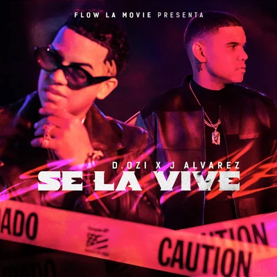 J Alvarez/D.OZi Se la Vive