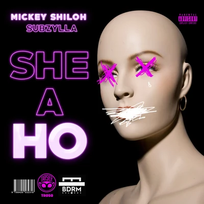 Mickey Shiloh/Subzylla She a Ho