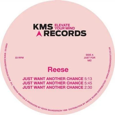 Reese/Kevin Saunderson Just Want Another Chance