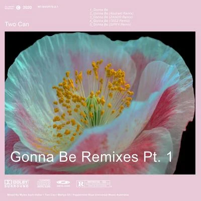 Two Can Gonna Be Remixes, Pt. 1