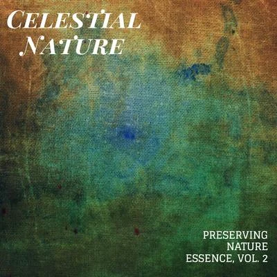 Nature Sounds/Rain Sounds For Sleep/White Noise Meditation Celestial Nature - Preserving Nature Essence, Vol. 2