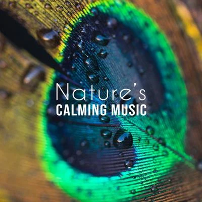 Keep Calm Music Collection/The Calming Sounds of Nature/Nature Sounds Artists Nature’s Calming Music - Collection of 15 Songs Deeply Relaxing, Soothing and Calming