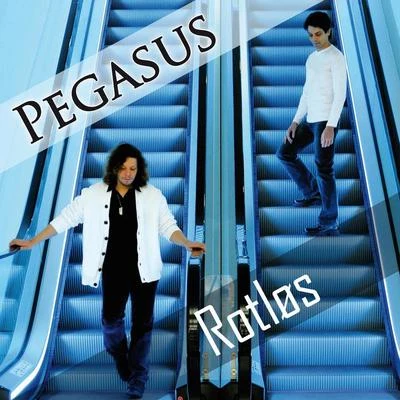 Pegasus Rotløs