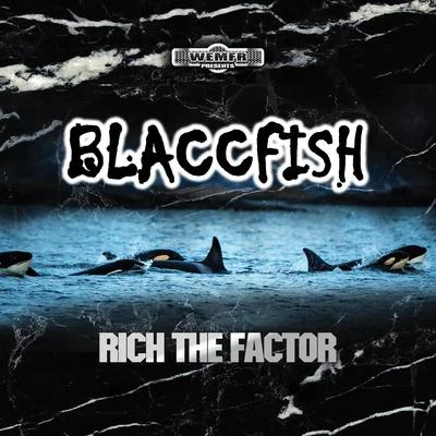 Rich The Factor Blaccfish