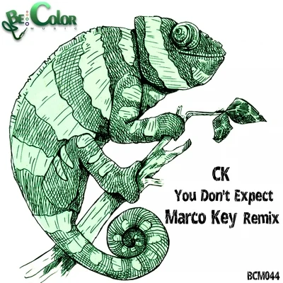 CK You Dont Expect (Marco Key Remix)