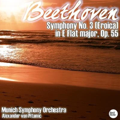 Munich Symphony Orchestra Beethoven: Symphony No. 3 (Eroica) in E Flat major, Op. 55