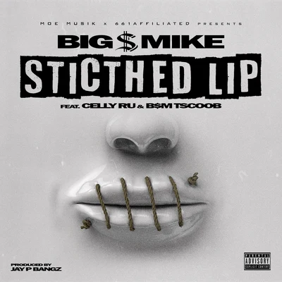 Big $ Mike Stitched Lip (feat. Celly Ru & B$M TSCOOB)