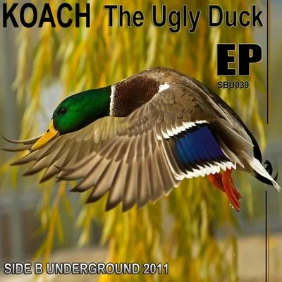 Koach The Ugly Duck