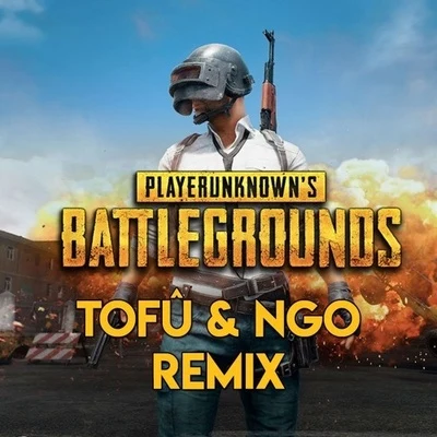 Tofu PUBG Theme Song (Tofû & NGO Remix)