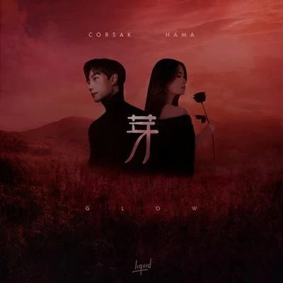 CORSAK/HAMA 芽 glow