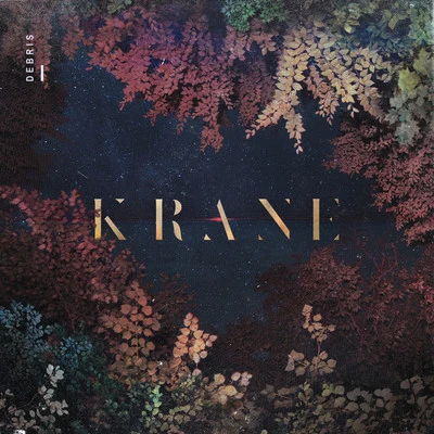 Krane Debris