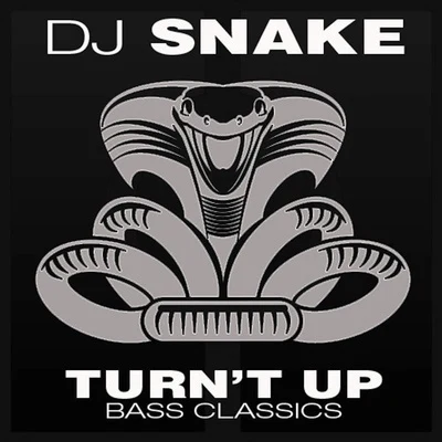 DJ Snake Turn't Up