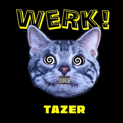 Tazer Werk!