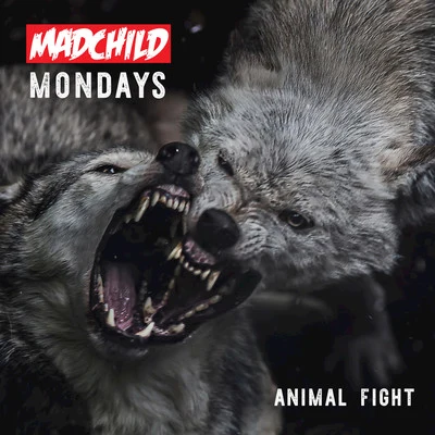 Madchild Animal Fight