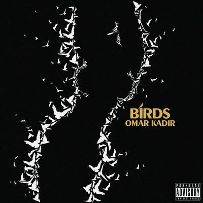 Omar Kadir Birds - Single