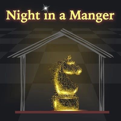 Matt Johnson Night in a Manger