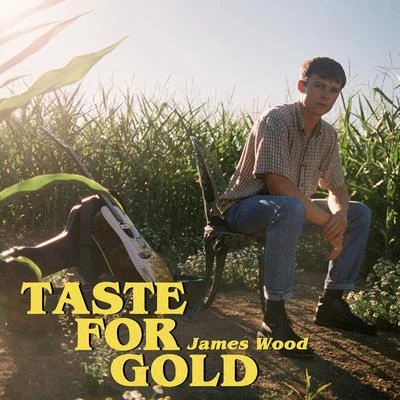 James Wood Taste for Gold