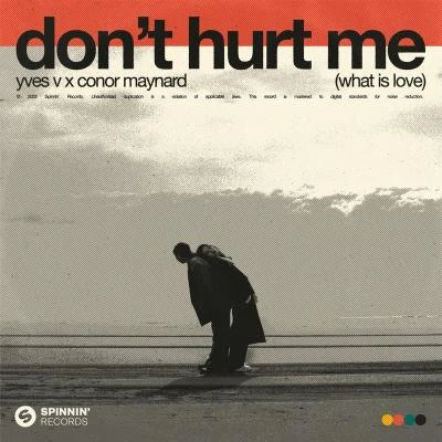 Yves V/Conor Maynard Don't Hurt Me (What Is Love)