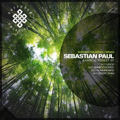 Sebastian Paul Bamboo Forest