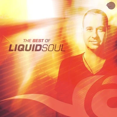 Liquid Soul The Best of Liquid Soul