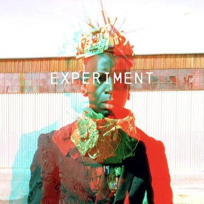 Saul Williams Experiment