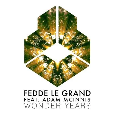 Fedde Le Grand Wonder Years