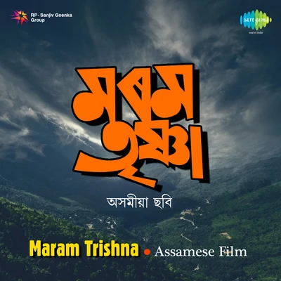 Various Artists/Parveen Sultana Maram Trishna