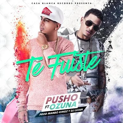 Pusho/Ozuna Te Fuiste